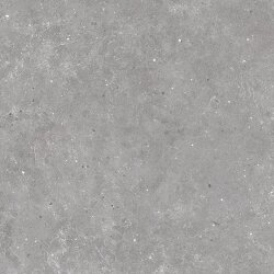 Плитка 60x60 186121 Ash Rett Sichenia Ar Gent Плитка 60x60 186121 Ash Rett Sichenia Ar Gent