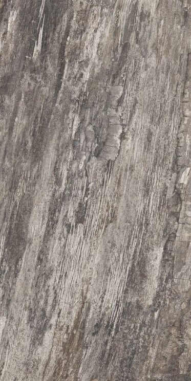 Плитка ректиф. (45х90) PETRIFIED TREE GREY BARK 944D8R з колекції Petrified Tree Emilceramica Плитка ректиф. (45х90) PETRIFIED TREE GREY BARK 944D8R з колекції Petrified Tree Emilceramica