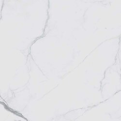 Плитка (60x60) 746590 IClassici Statuario Glossy Ret - I Classici di Rex Плитка (60x60) 746590 IClassici Statuario Glossy Ret - I Classici di Rex