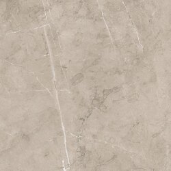 Плитка Rectificado 5059 Vison 50x50 Lyon Porcelanite Dos Плитка Rectificado 5059 Vison 50x50 Lyon Porcelanite Dos