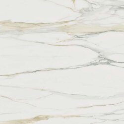 Плитка (60x60) 750719 IClassici Cal. Gold Glossy Ret - I Classici di Rex Плитка (60x60) 750719 IClassici Cal. Gold Glossy Ret - I Classici di Rex