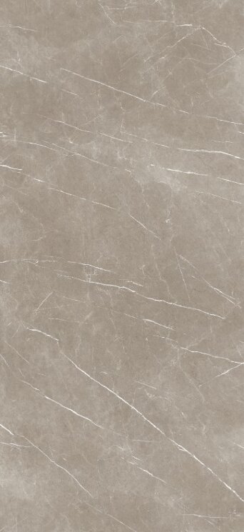 Плитка Eternal Taupe natural 120x260 BP2612R з колекції Eternal Baldocer Плитка Eternal Taupe natural 120x260 BP2612R з колекції Eternal Baldocer