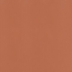 Плитка (60x60) Tecnika Cinnamon Mate - Tecnika Плитка (60x60) Tecnika Cinnamon Mate - Tecnika