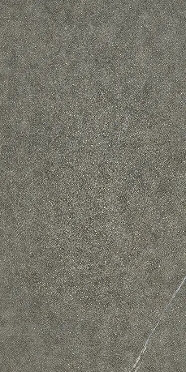 Плитка 22.5x45.3 AFMD Sh.Iuliaout Caesar Shapes of Italy з колекції Shapes of Italy Caesar Плитка 22.5x45.3 AFMD Sh.Iuliaout Caesar Shapes of Italy з колекції Shapes of Italy Caesar