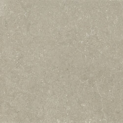 Плитка HWD 11 Greige Rett - 120x120 GRWD11R Wild Плитка HWD 11 Greige Rett - 120x120 GRWD11R Wild