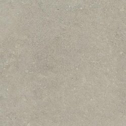 Плитка Neutral Gris 60x60 Esprit Rex Плитка Neutral Gris 60x60 Esprit Rex