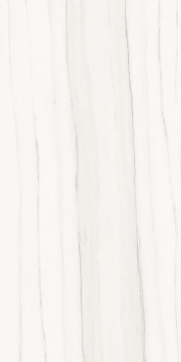 Плитка (30x60) PL360517 Zebrino Bianco Lucidato - Marmi Classici з колекції Marmi Classici Ariostea Плитка (30x60) PL360517 Zebrino Bianco Lucidato - Marmi Classici з колекції Marmi Classici Ariostea