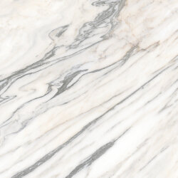 120x120 Grande marble look bianco arni matt rt MEMJ 120x120 Grande marble look bianco arni matt rt MEMJ