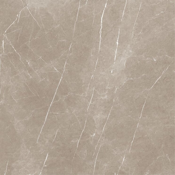 Плитка Eternal taupe natural 120x120 P1212R з колекції Eternal Baldocer Плитка Eternal taupe natural 120x120 P1212R з колекції Eternal Baldocer