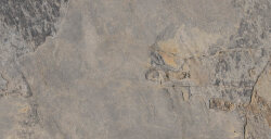 Плитка (32x62.5) Ardesia Gris - Ardesia Плитка (32x62.5) Ardesia Gris - Ardesia