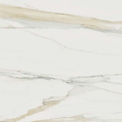 Плитка (80x80) 753297 IClassici Cal. Gold Matte Ret - I Classici di Rex Плитка (80x80) 753297 IClassici Cal. Gold Matte Ret - I Classici di Rex