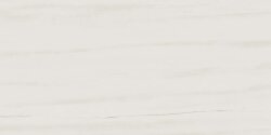 Плитка (30x60) AZQX Marvel Bianco Dolomite - Marvel Stone Плитка (30x60) AZQX Marvel Bianco Dolomite - Marvel Stone