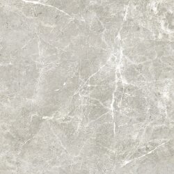 Плитка 60x60 0163299 Supreme GreyNtRt Ricchetti Pure Плитка 60x60 0163299 Supreme GreyNtRt Ricchetti Pure