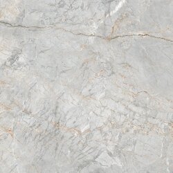 Плитка 60x60 592302 Oxford GreyNt Ricchetti Golden Pure Плитка 60x60 592302 Oxford GreyNt Ricchetti Golden Pure