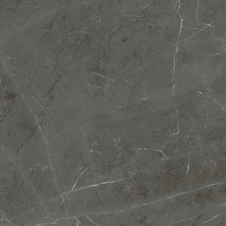 Плитка MARMOTECA GREYST NAT RET - 120x120 PF60006319 La Marmoteca з колекції La Marmoteca Gardenia Orchidea Плитка MARMOTECA GREYST NAT RET - 120x120 PF60006319 La Marmoteca з колекції La Marmoteca Gardenia Orchidea