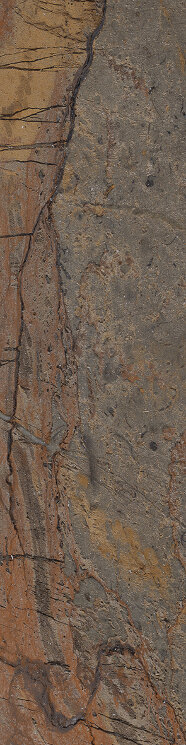 Плитка 7,5x30 Fossil Brown Malevic Nat. Rett - Tele di Marmo Reloaded - E0F4 з колекції Tele di Marmo Reloaded Emilceramica Плитка 7,5x30 Fossil Brown Malevic Nat. Rett - Tele di Marmo Reloaded - E0F4 з колекції Tele di Marmo Reloaded Emilceramica