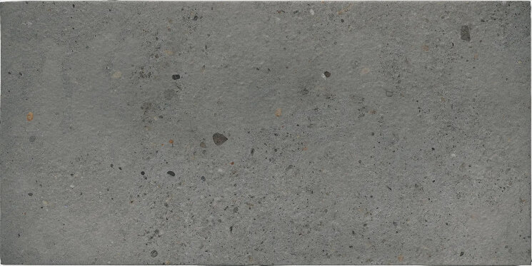 Плитка Nativa Barge Argent Silver - 25x50 2550KNAAS Nativa з колекції Nativa Keradom Плитка Nativa Barge Argent Silver - 25x50 2550KNAAS Nativa з колекції Nativa Keradom