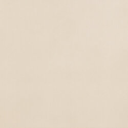 Плитка (100x100) PG8AS00 Bianco 3*1000X1000x3 - Zero.3 Aisthesis Плитка (100x100) PG8AS00 Bianco 3*1000X1000x3 - Zero.3 Aisthesis