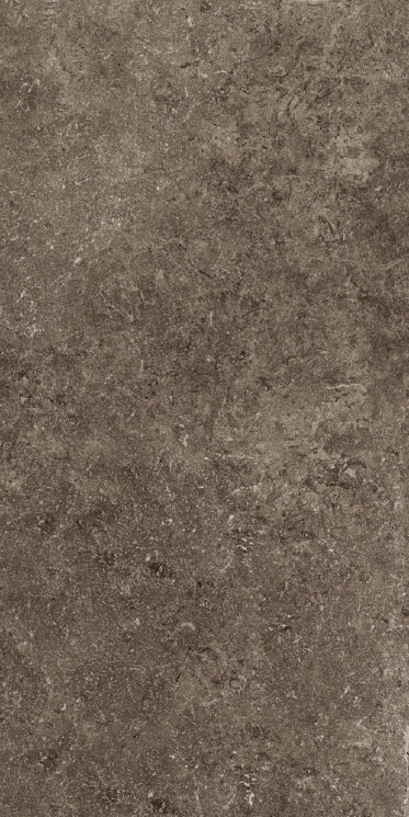 Плитка (30x60) EG-SSX2 Rare Dark Hon/Rtt - Secret Stone з колекції Secret Stone Cotto dEste Плитка (30x60) EG-SSX2 Rare Dark Hon/Rtt - Secret Stone з колекції Secret Stone Cotto dEste