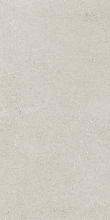 Плитка 60x120 Light Grey Nt Rt - Ease - 163419 з колекції Ease Ricchetti Плитка 60x120 Light Grey Nt Rt - Ease - 163419 з колекції Ease Ricchetti