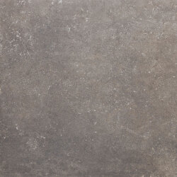 Плитка BI 6 PHORMA 600 MUSK RET - 60x60 PF00022152 Bi6 Phorma Плитка BI 6 PHORMA 600 MUSK RET - 60x60 PF00022152 Bi6 Phorma