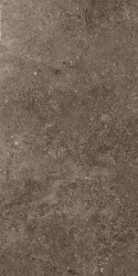 Плитка (60x120) EGXSS20 Rare Dark Nat/Rtt - Secret Stone