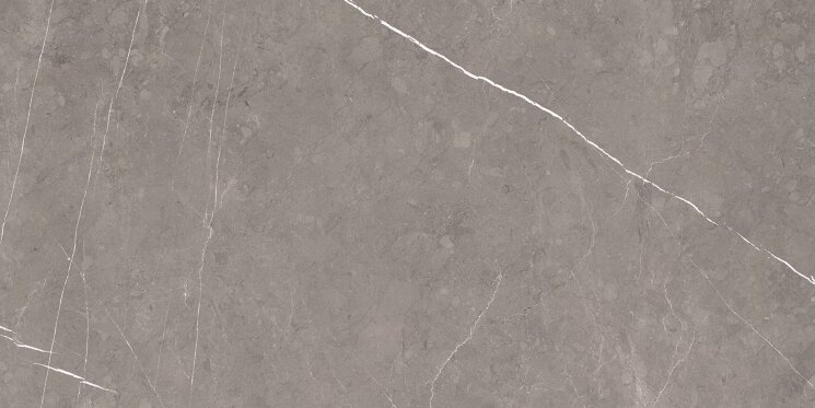 Плитка 30x60 1 Posh Pietra Grey - Posh - 42200057 з колекції Posh Mo.da Плитка 30x60 1 Posh Pietra Grey - Posh - 42200057 з колекції Posh Mo.da
