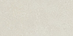 Плитка Hwd 210 White Rett - 60x120 SCWD10R Wild2 Плитка Hwd 210 White Rett - 60x120 SCWD10R Wild2