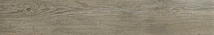 Плитка (20x120) 17.871.135.2869 Desertwood Argent - Desertwood з колекції Desertwood Pamesa