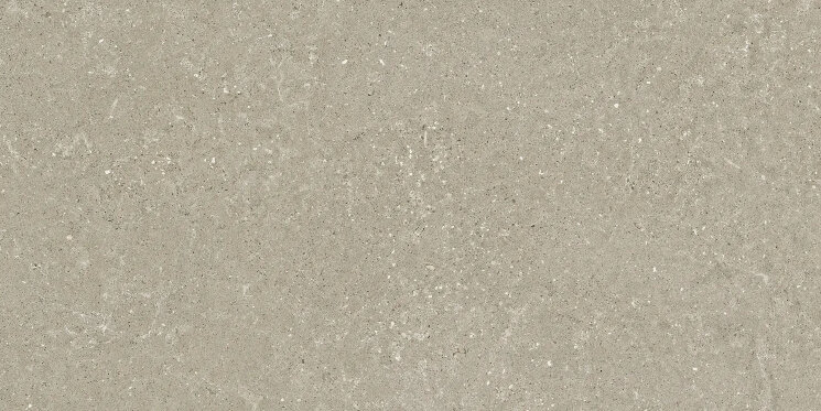 Плитка Hwd 211 Greige Rett - 60x120 SCWD11R Wild2 з колекції Wild2 Del Conca Плитка Hwd 211 Greige Rett - 60x120 SCWD11R Wild2 з колекції Wild2 Del Conca