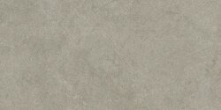 Плитка 30x60 R9JD Argent GhiaccioRt Ragno Realstone Argent Плитка 30x60 R9JD Argent GhiaccioRt Ragno Realstone Argent
