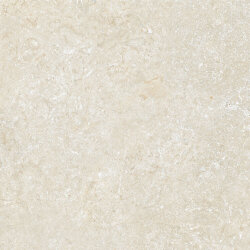 Плитка (60x60) EGWSS00 Mystery White Nat/Rtt - Secret Stone Плитка (60x60) EGWSS00 Mystery White Nat/Rtt - Secret Stone