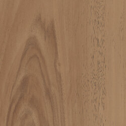 Плитка (20x20) D765 ESN.WALNUT 20 - Essences Плитка (20x20) D765 ESN.WALNUT 20 - Essences