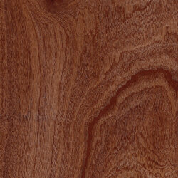 Плитка (20x20) D766 ESN. MAHOGANY 20 - Essences Плитка (20x20) D766 ESN. MAHOGANY 20 - Essences