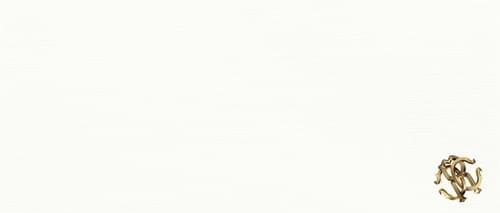 Декор Juta White Logo 32x75 Natural Roberto Cavalli з колекції Natural Roberto Cavalli Декор Juta White Logo 32x75 Natural Roberto Cavalli з колекції Natural Roberto Cavalli