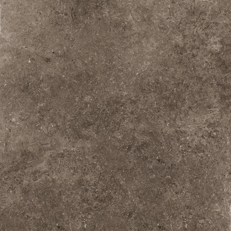 Плитка (60x60) EGWSS20 Rare Dark Nat/Rtt - Secret Stone з колекції Secret Stone Cotto dEste