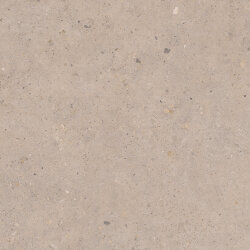 Плитка 80x80 Bi Greige - Biophilic - P009421 Плитка 80x80 Bi Greige - Biophilic - P009421