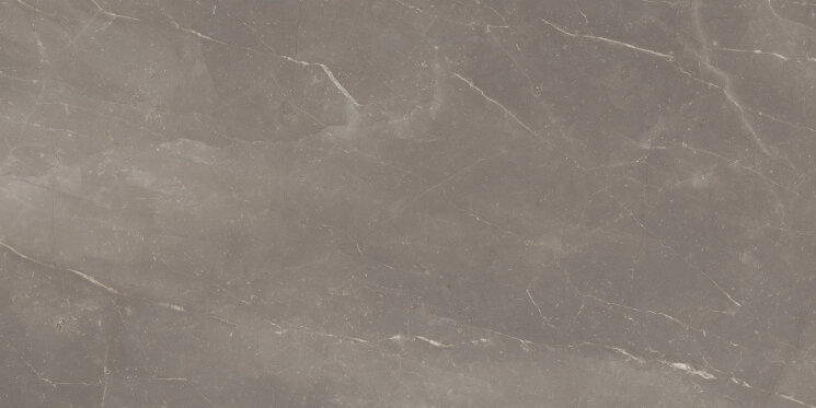 Плитка 60x120 1 Posh Pulpis - Posh - 42200008 з колекції Posh Mo.da Плитка 60x120 1 Posh Pulpis - Posh - 42200008 з колекції Posh Mo.da