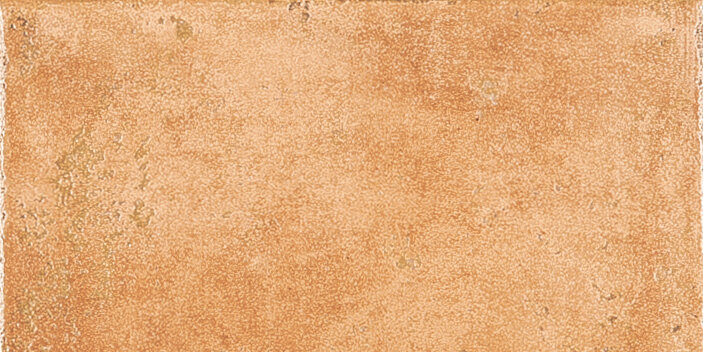 Плитка (15x30) PGBCB10 Regale Lux Pc878722* - Cotto Albergati з колекції Cotto Albergati Panaria Плитка (15x30) PGBCB10 Regale Lux Pc878722* - Cotto Albergati з колекції Cotto Albergati Panaria