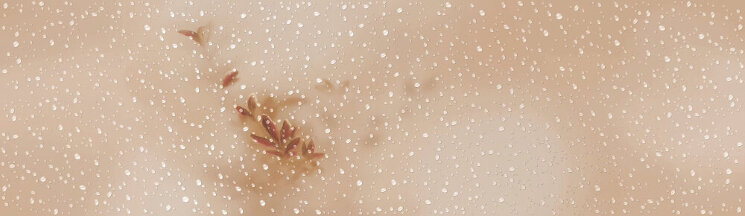 Декор (29x100) DEC. REBORN AMBAR A - Intuition з колекції Intuition Ibero Декор (29x100) DEC. REBORN AMBAR A - Intuition з колекції Intuition Ibero