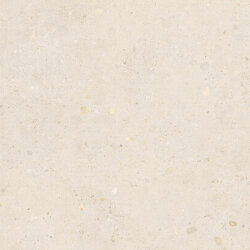 Плитка 80x80 Bi White - Biophilic - P009422 Плитка 80x80 Bi White - Biophilic - P009422