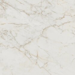 Плитка 120x120 fPZT Roma Gold Calacatta Delicato Brill FAP Roma Gold Плитка 120x120 fPZT Roma Gold Calacatta Delicato Brill FAP Roma Gold