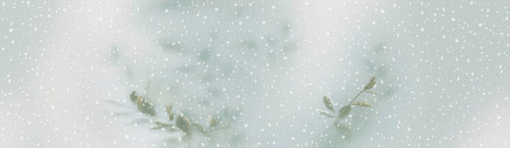 Декор (29x100) DEC. REBORN AQUAMARINE B - Intuition з колекції Intuition Ibero Декор (29x100) DEC. REBORN AQUAMARINE B - Intuition з колекції Intuition Ibero