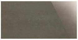 Плитка Catania Ash Polished 30x60 Tileworks City Range Original Style Плитка Catania Ash Polished 30x60 Tileworks City Range Original Style