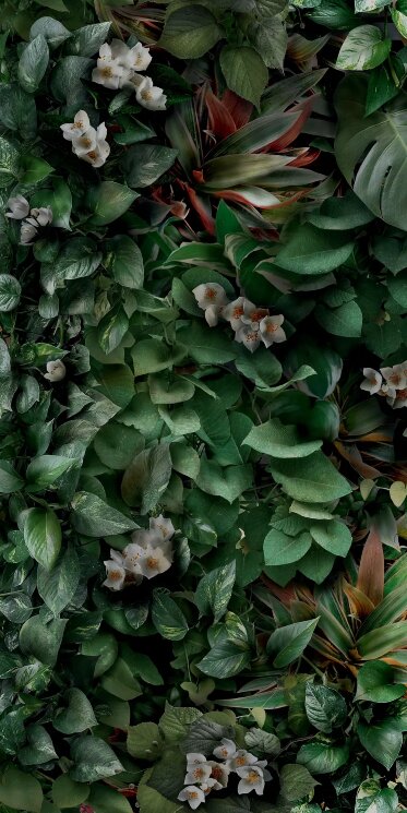 Плитка 50x100 PG9GM9B GreenwallB Panaria Zero.3 Glam з колекції Zero.3 Glam Panaria Плитка 50x100 PG9GM9B GreenwallB Panaria Zero.3 Glam з колекції Zero.3 Glam Panaria