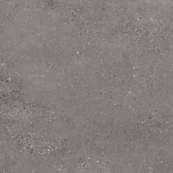 Плитка 60x60 Iron R - Mold - MX64 Плитка 60x60 Iron R - Mold - MX64