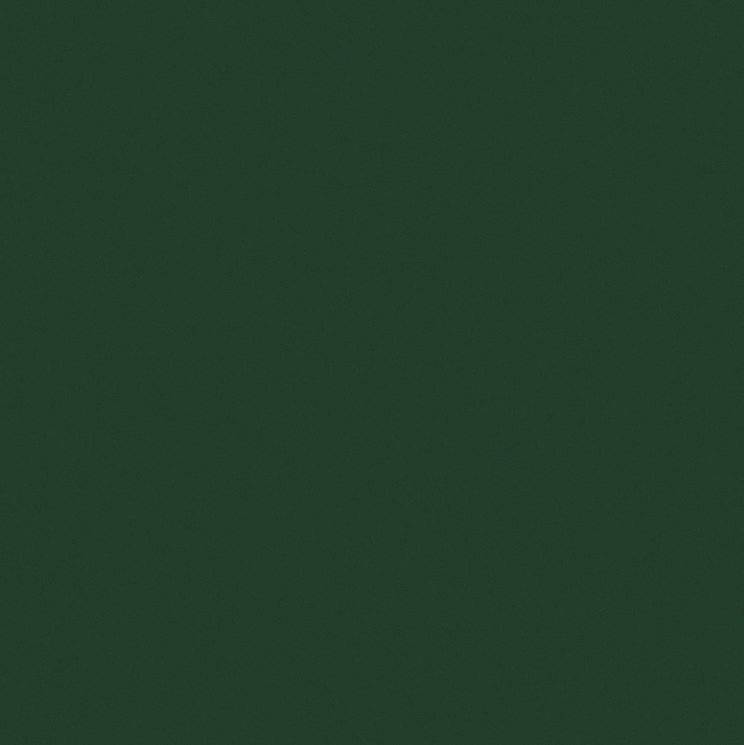 Плитка 120*120 Crayons Moss Nat 767254 Crayons Cerim з колекції Crayons Cerim Плитка 120*120 Crayons Moss Nat 767254 Crayons Cerim з колекції Crayons Cerim