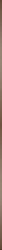 1x120 PRJS27 BACCHETTA 120 UTILE ALU SOFT GOLD Paul Ceramiche More! 1x120 PRJS27 BACCHETTA 120 UTILE ALU SOFT GOLD Paul Ceramiche More!
