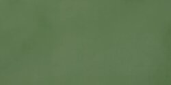 Плитка 30x60 11830034 R-Evolution Green 10Mm Casalgrande Padana R-Evolution Плитка 30x60 11830034 R-Evolution Green 10Mm Casalgrande Padana R-Evolution