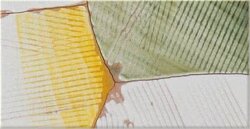 Декор (10x20) 12BBCRPR ricomposta c/r DEC. PRATI su BIANCO/BIANCO - Aperture Декор (10x20) 12BBCRPR ricomposta c/r DEC. PRATI su BIANCO/BIANCO - Aperture